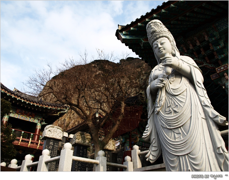 사용자 삽입 이미지