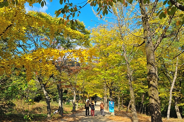 사용자 삽입 이미지