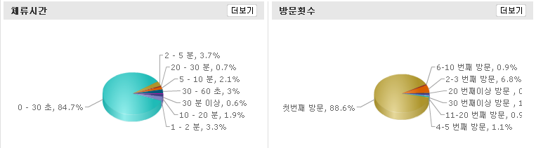 방문자 분석