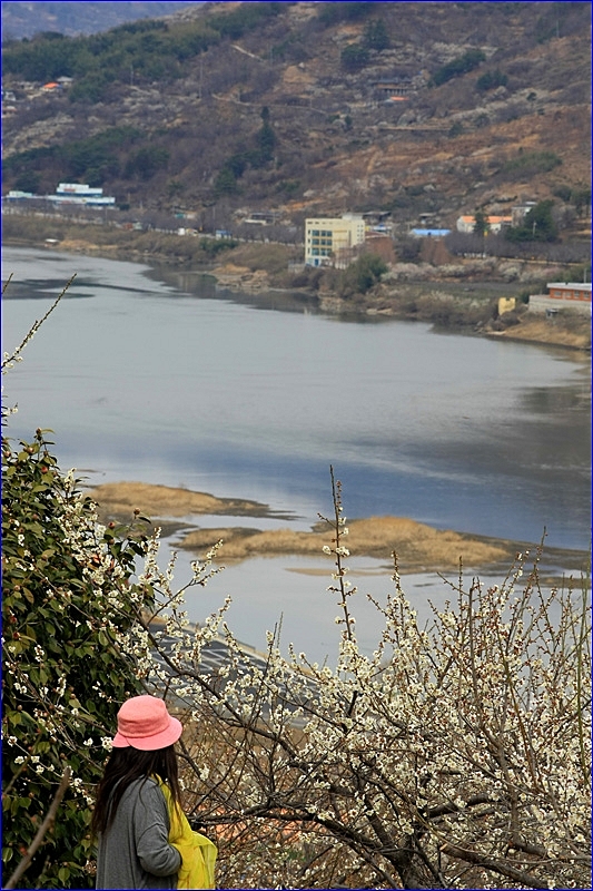 사용자 삽입 이미지
