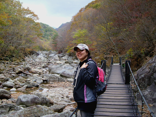 사용자 삽입 이미지