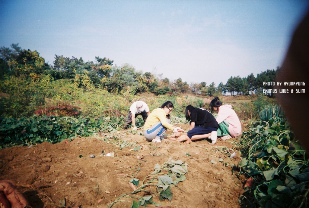 사용자 삽입 이미지