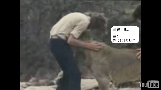사용자 삽입 이미지