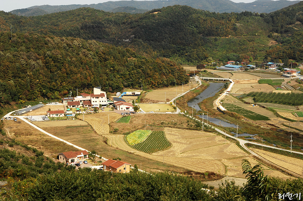 사용자 삽입 이미지