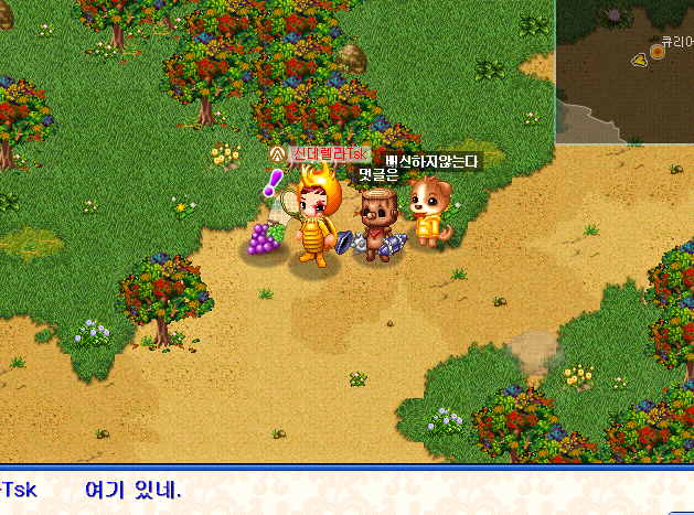 사용자 삽입 이미지