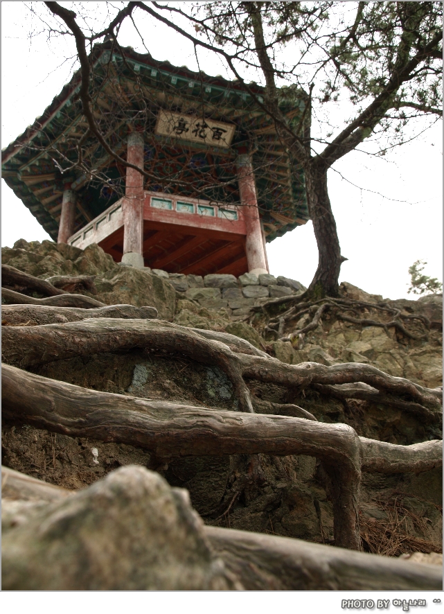 사용자 삽입 이미지