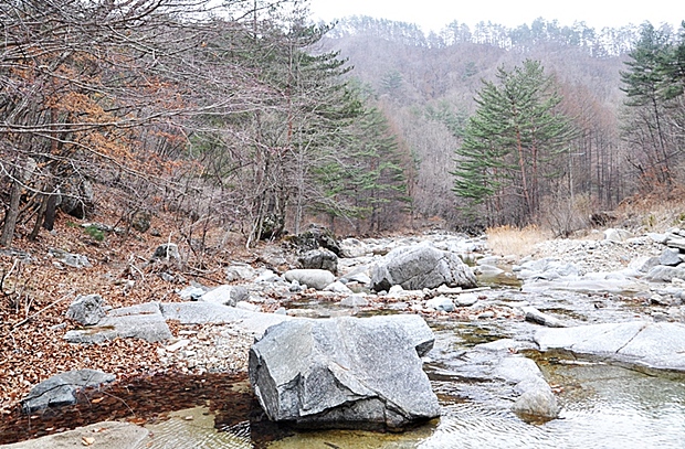 사용자 삽입 이미지