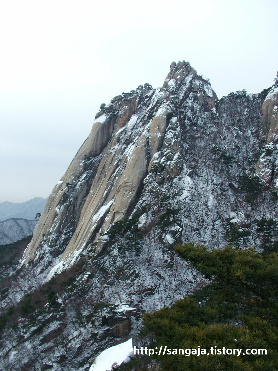 사용자 삽입 이미지