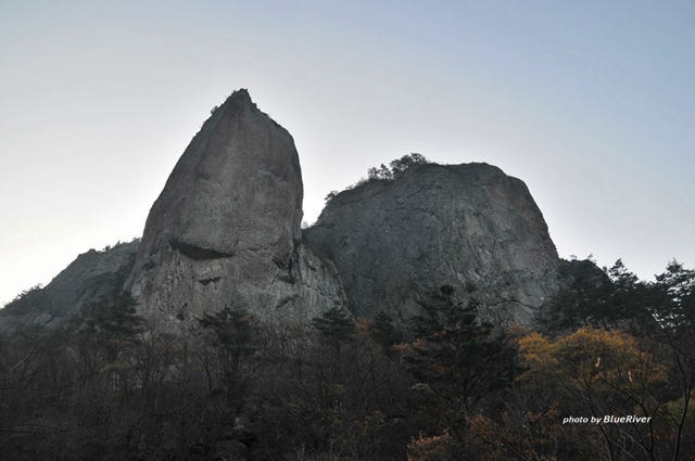사용자 삽입 이미지