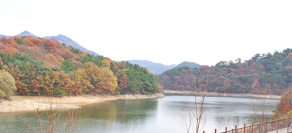 그린워킹 회동수원지 길걷기