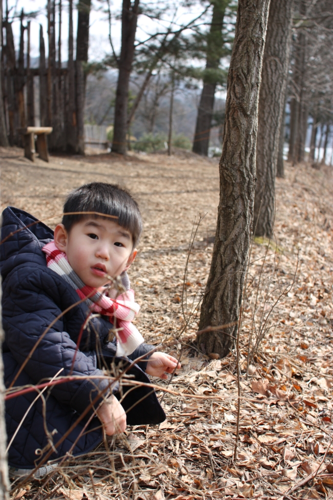사용자 삽입 이미지