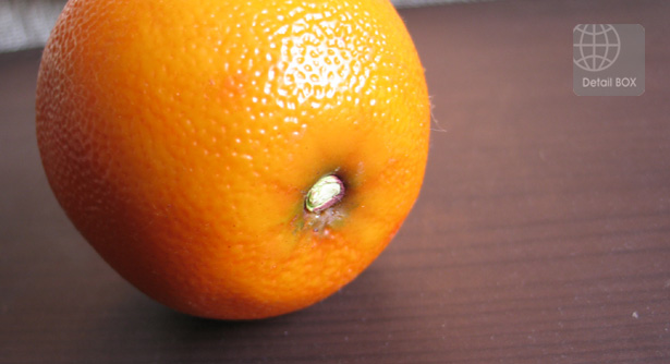 과일 오렌지