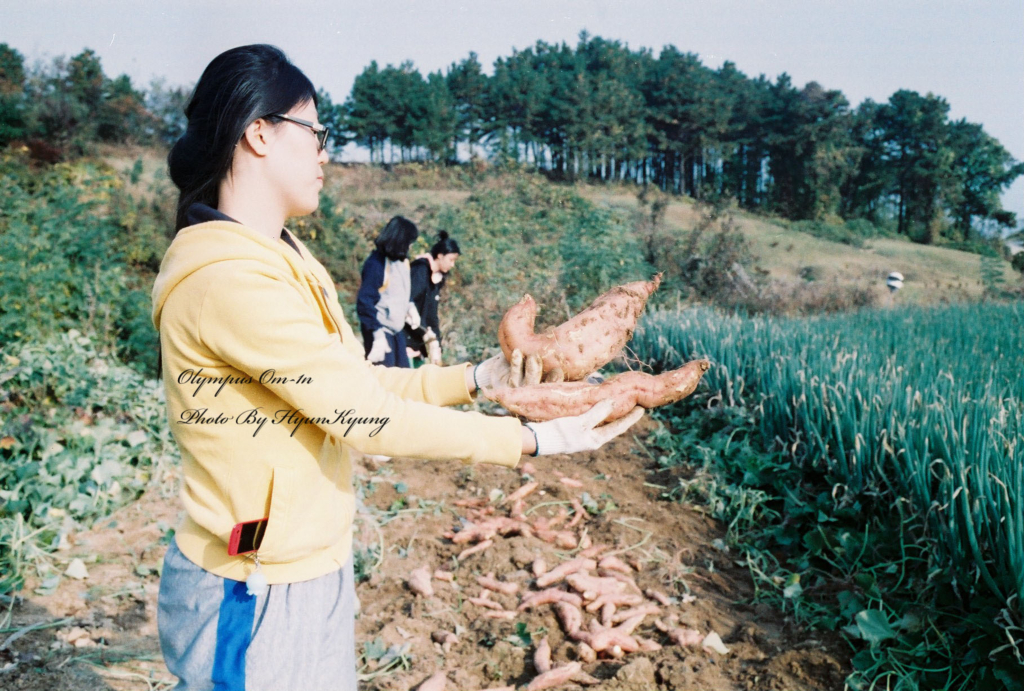 사용자 삽입 이미지