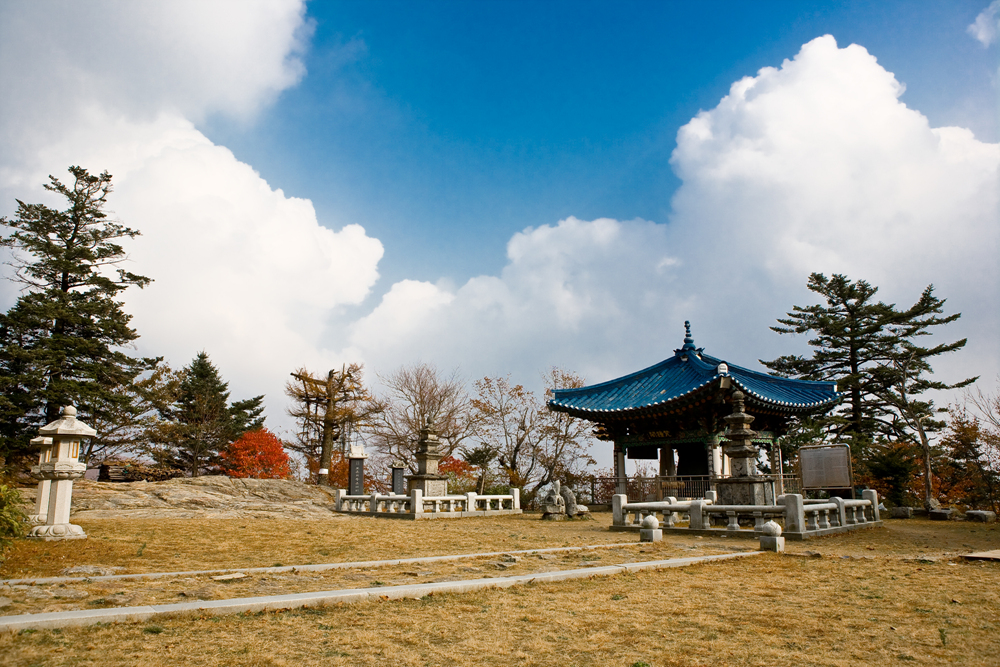 사용자 삽입 이미지