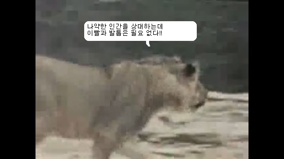 사용자 삽입 이미지
