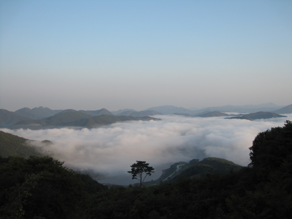 사용자 삽입 이미지