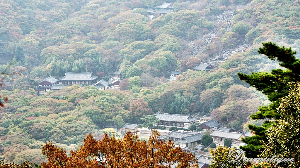 동래범어사 전경