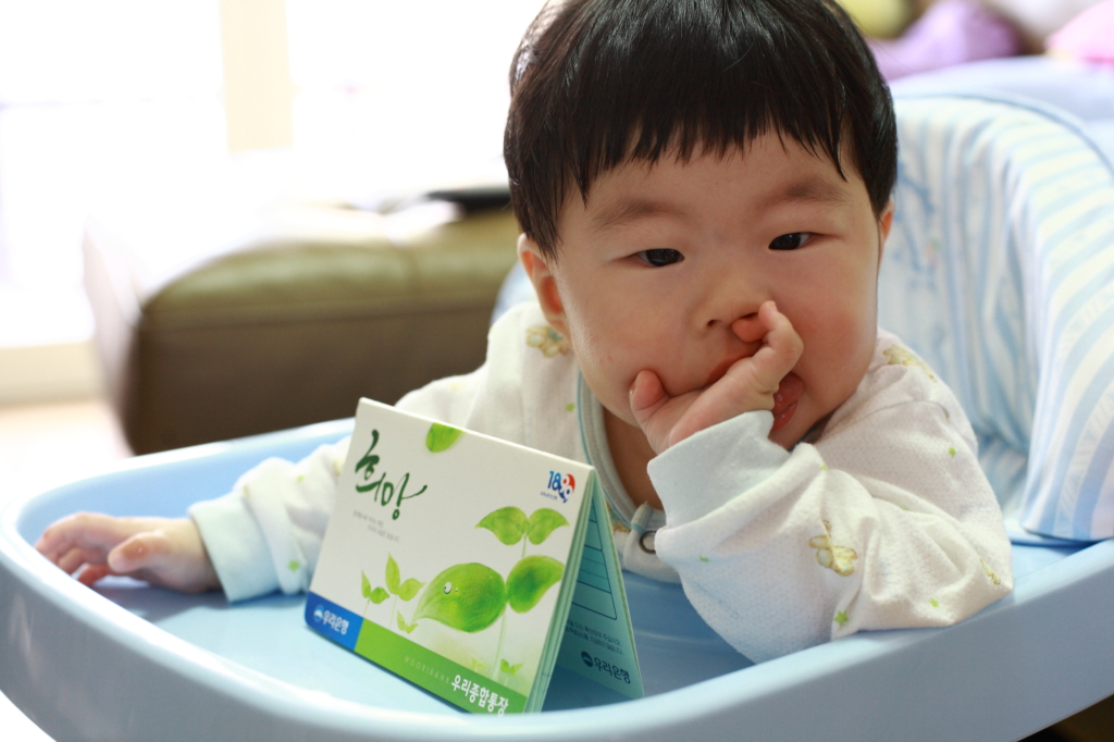 사용자 삽입 이미지