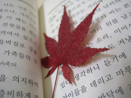사용자 삽입 이미지