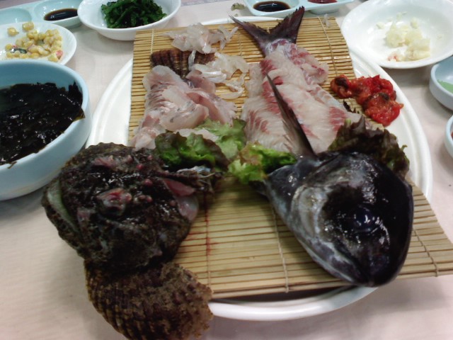 사용자 삽입 이미지