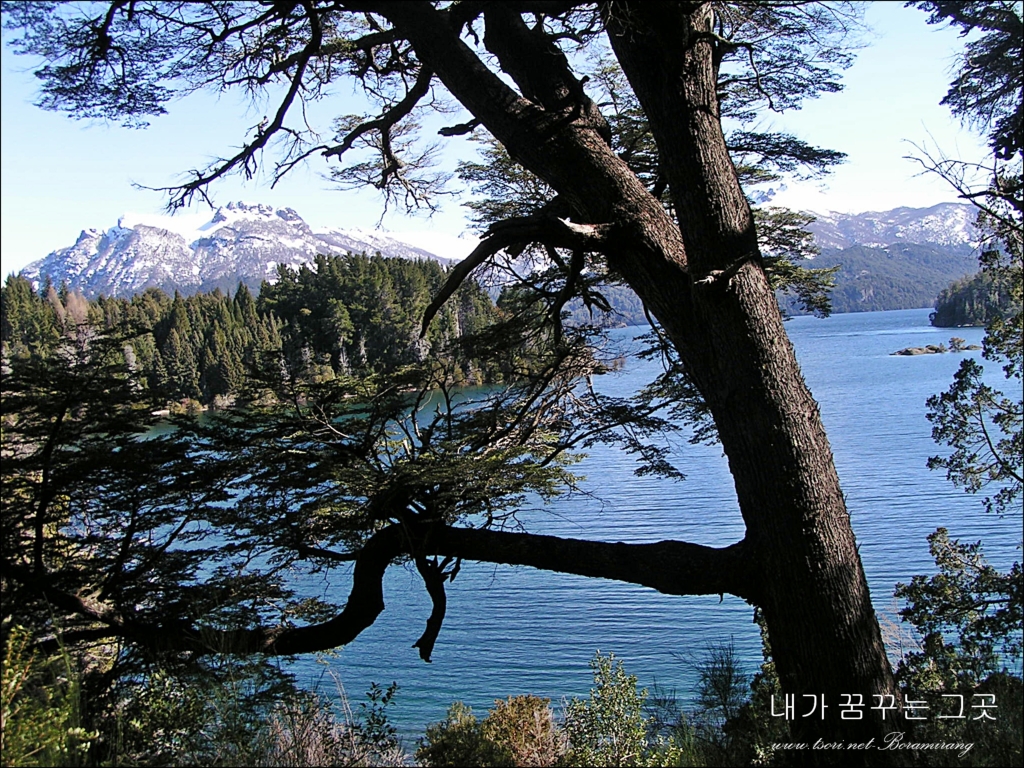 사용자 삽입 이미지