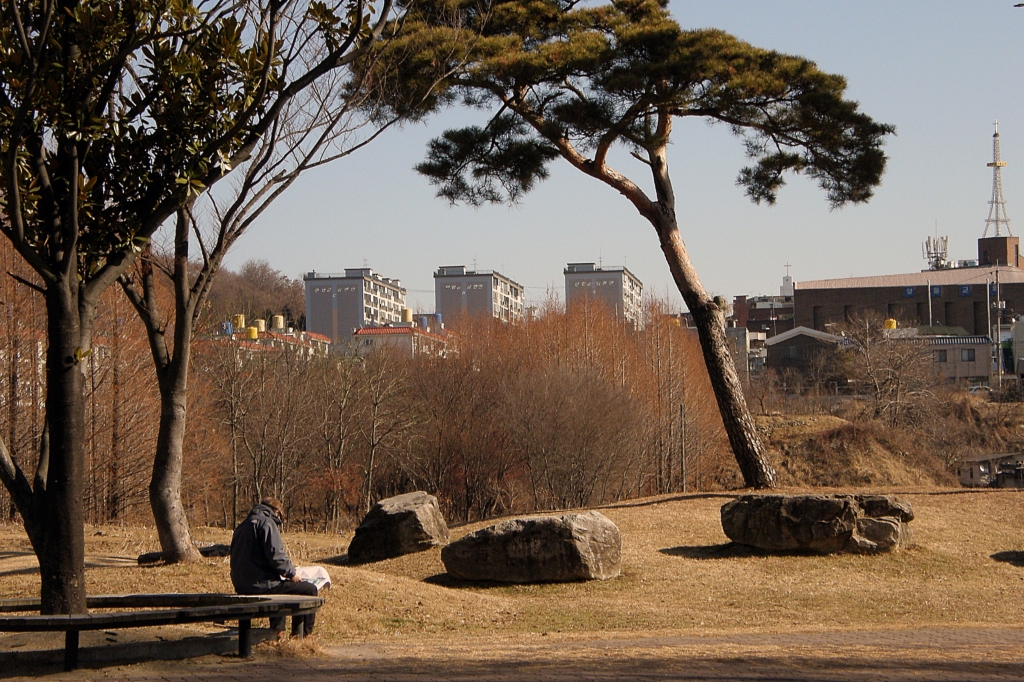 사용자 삽입 이미지