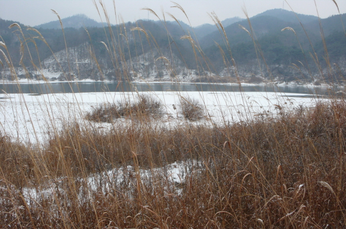 사용자 삽입 이미지