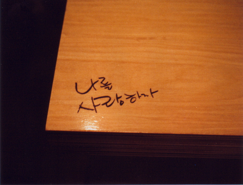 사용자 삽입 이미지
