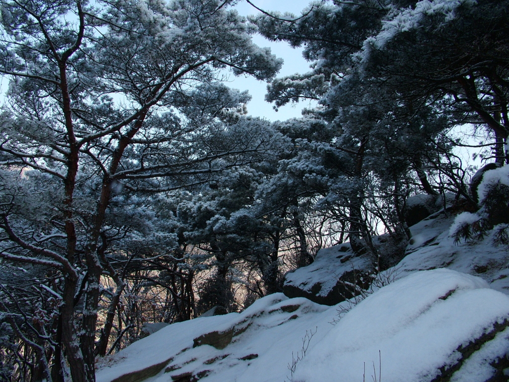 사용자 삽입 이미지