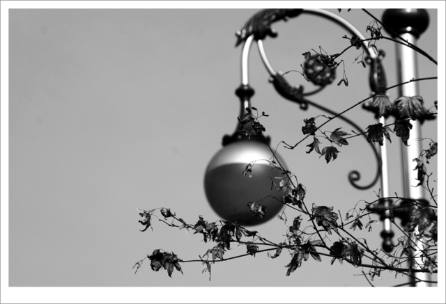 Photograpy.흑백사진,겨울사진