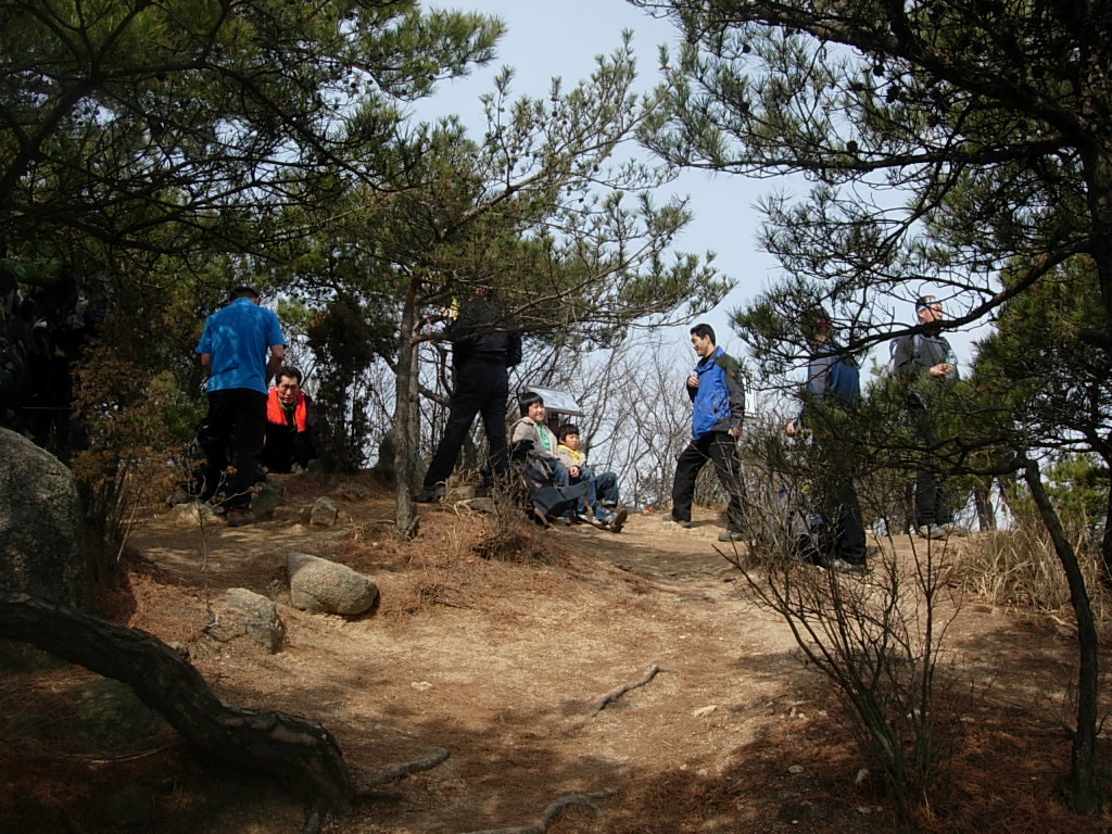 사용자 삽입 이미지