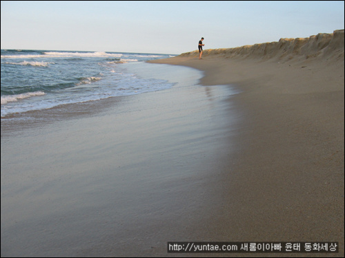 사용자 삽입 이미지