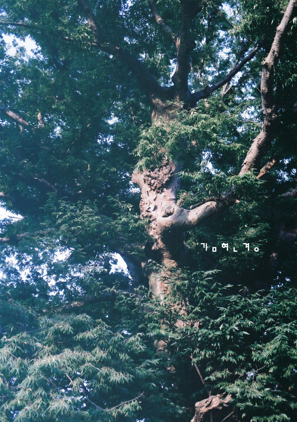 사용자 삽입 이미지