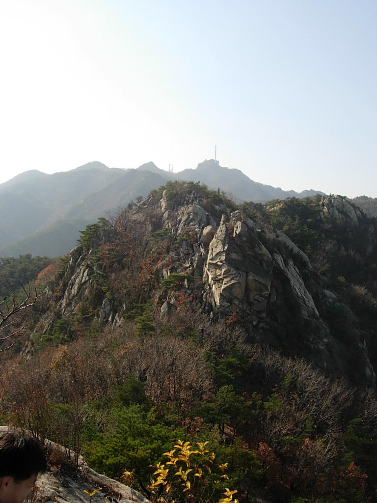 사용자 삽입 이미지