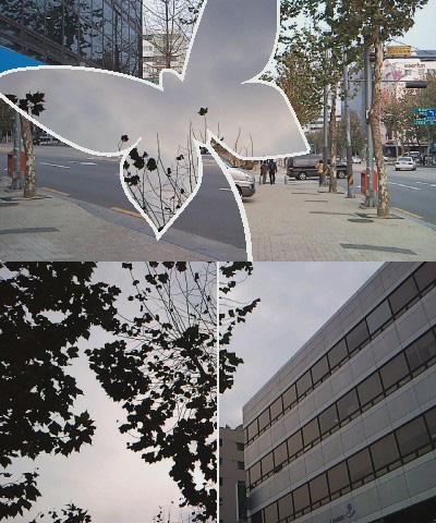 사용자 삽입 이미지