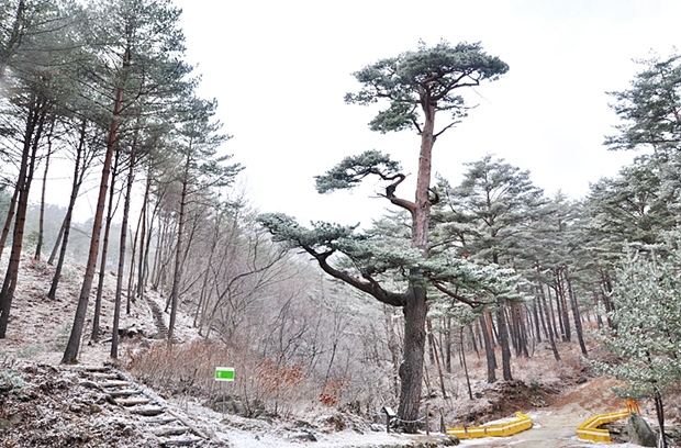 사용자 삽입 이미지