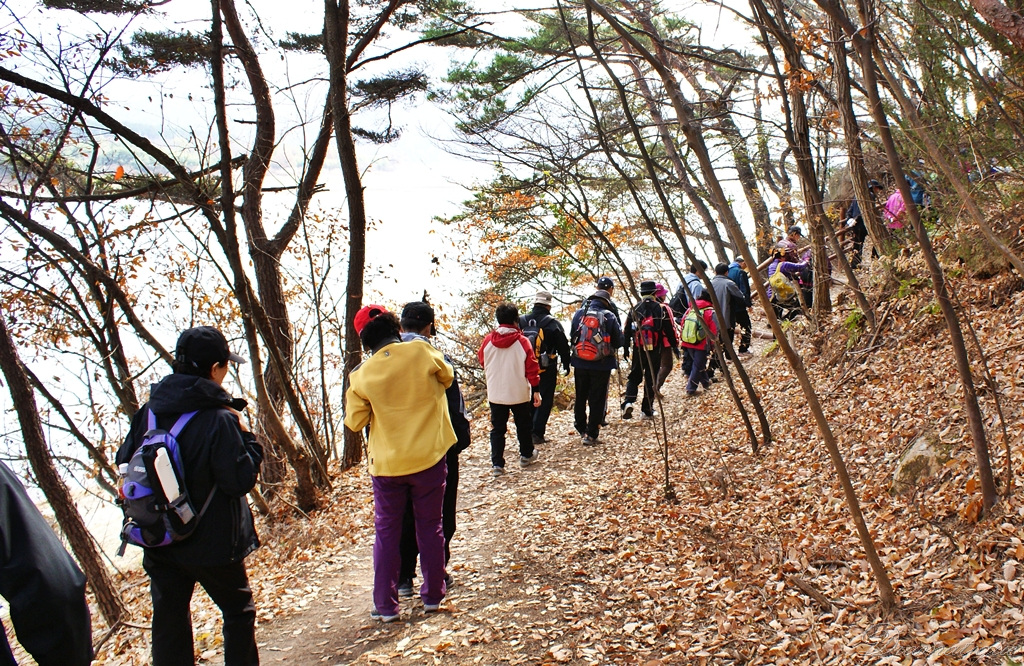 그린워킹 12차 길걷기