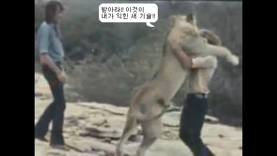 사용자 삽입 이미지