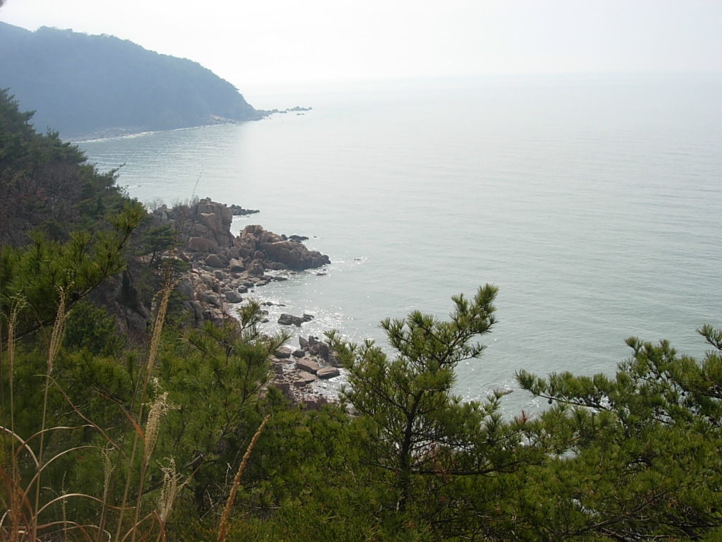 사용자 삽입 이미지