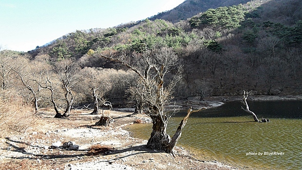 사용자 삽입 이미지