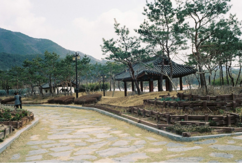 사용자 삽입 이미지