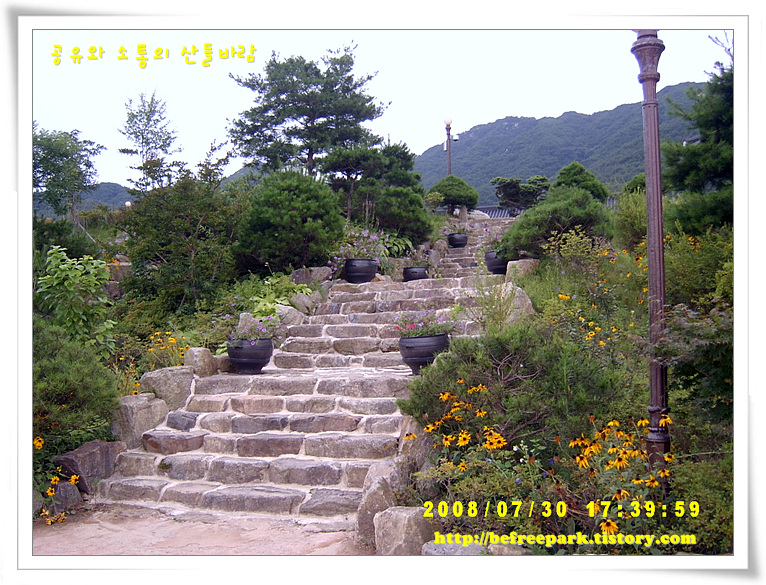 사용자 삽입 이미지