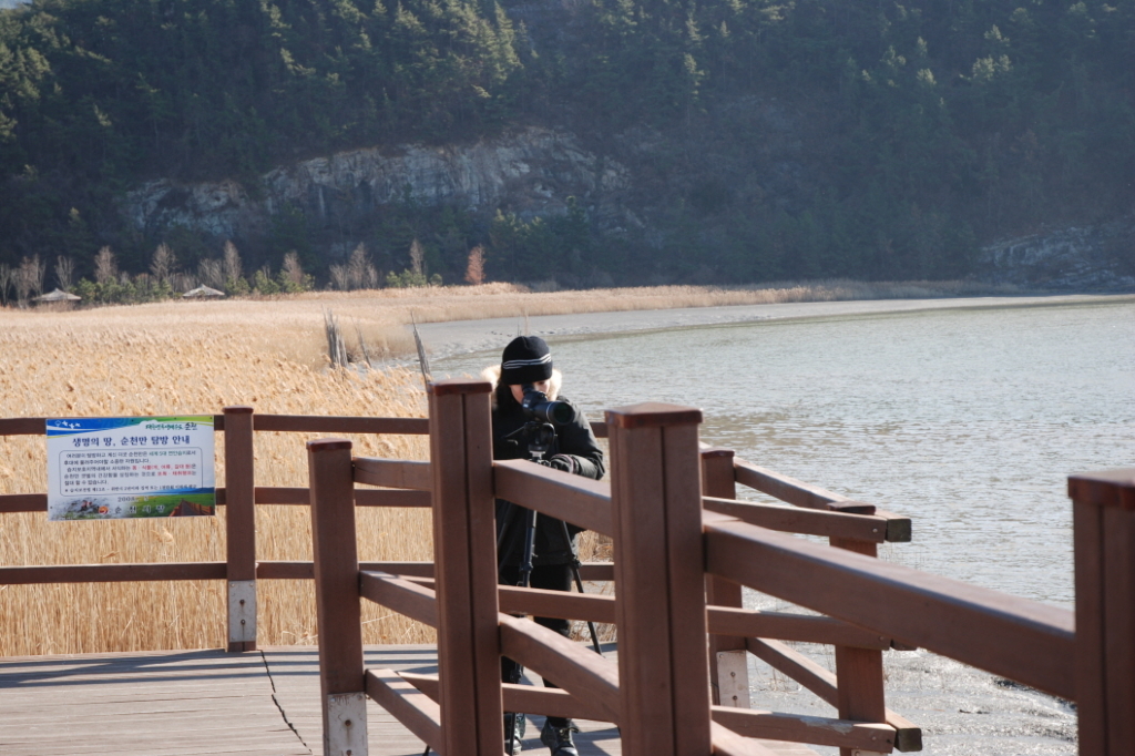 사용자 삽입 이미지