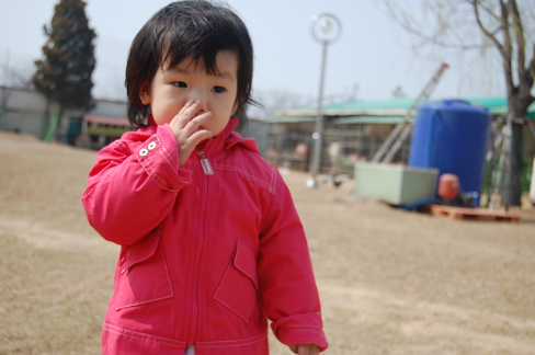 사용자 삽입 이미지