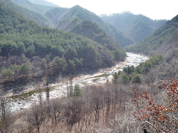 사용자 삽입 이미지