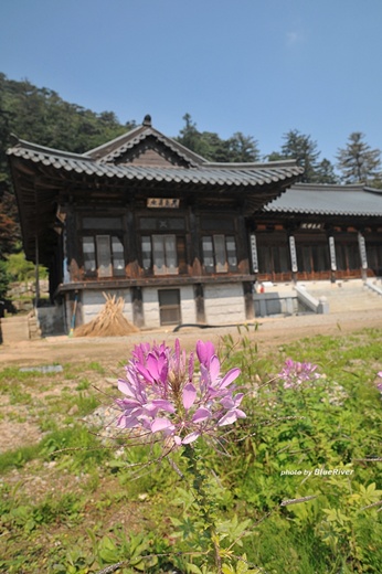 사용자 삽입 이미지