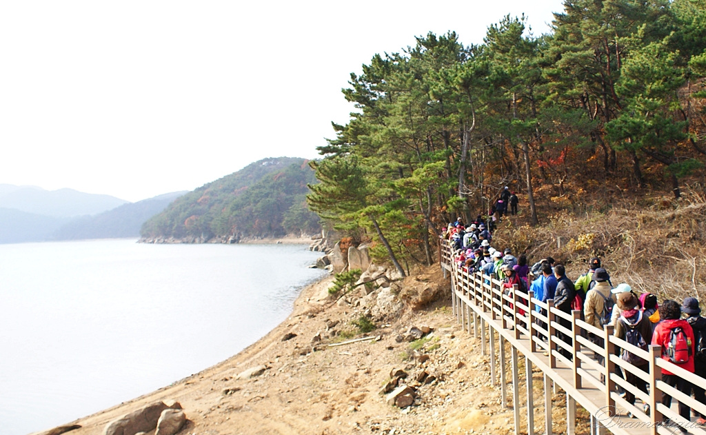 그린워킹 부산길걷기 회동수원지