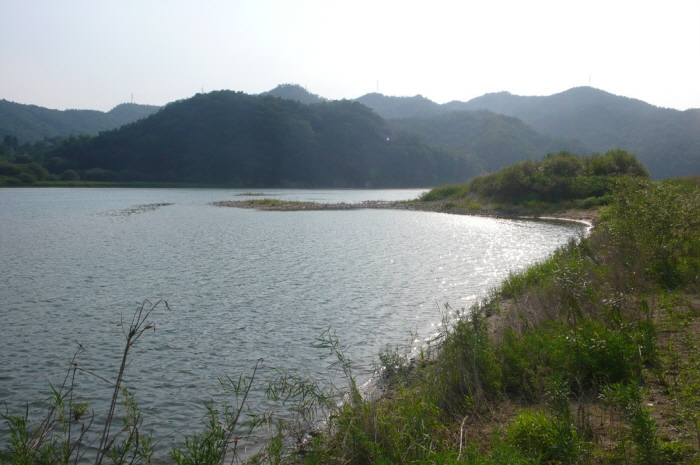 사용자 삽입 이미지