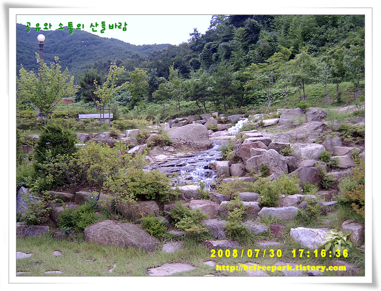 사용자 삽입 이미지
