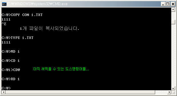 사용자 삽입 이미지